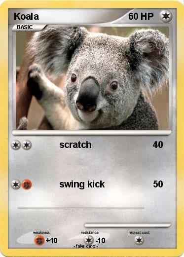 Pokemon Koala