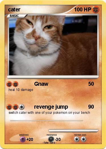 Pokemon cater