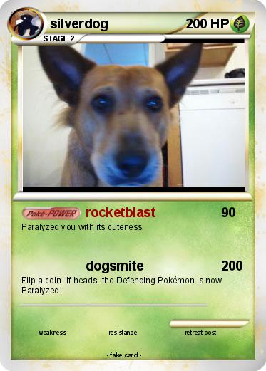 Pokemon silverdog