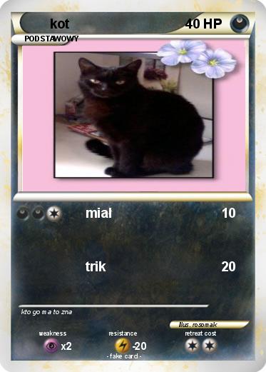 Pokemon kot