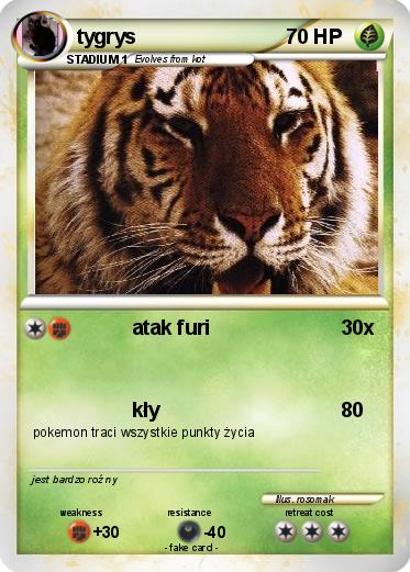 Pokemon tygrys