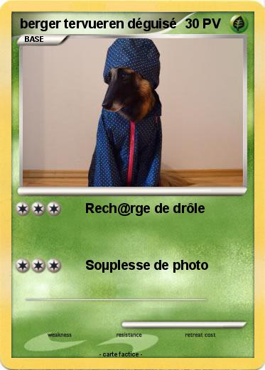 Pokemon berger tervueren déguisé