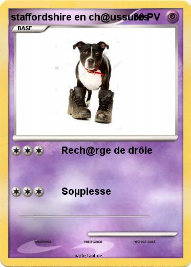 Pokemon staffordshire en ch@ussures