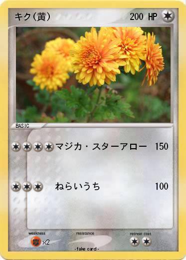 Pokemon キク(黄)