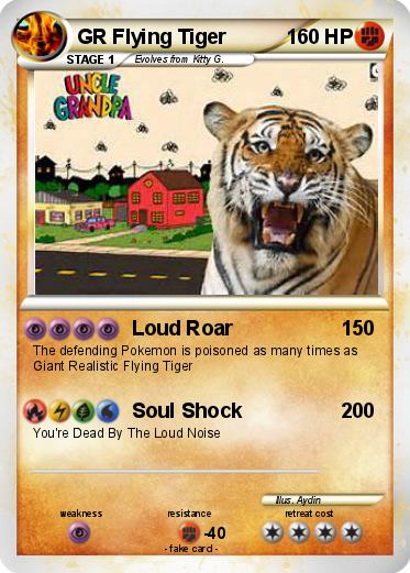 Pokemon GR Flying Tiger