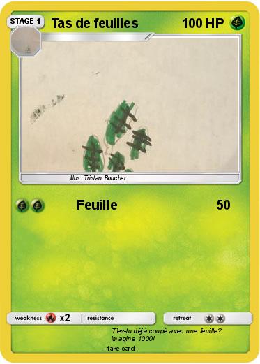 Pokemon Tas de feuilles