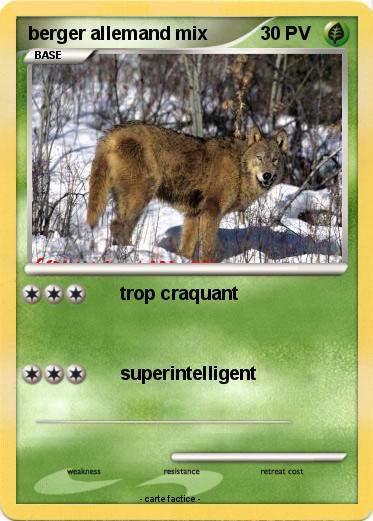 Pokemon berger allemand mix