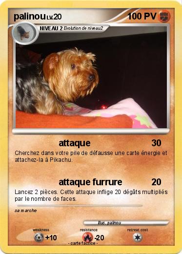 Pokemon palinou
