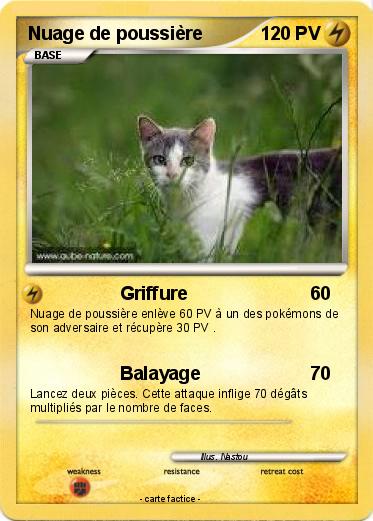 Pokemon Nuage de poussière