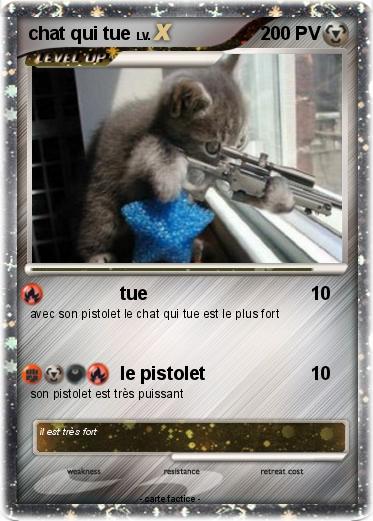 Pokemon chat qui tue