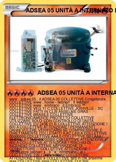 Pokemon ADSEA 05 UNITÀ A INTERNATO IME