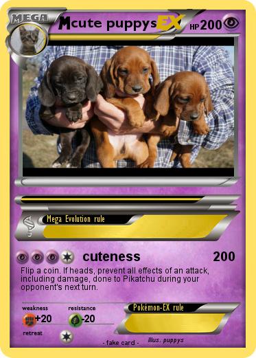 Pokemon cute puppys