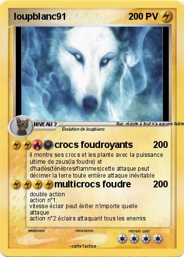 Pokemon loupblanc91