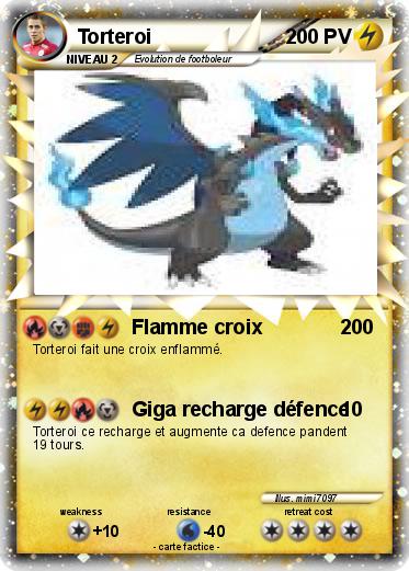 Pokemon Torteroi