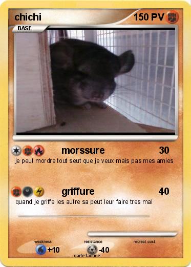 Pokemon chichi