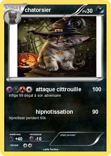 Pokemon chatorsier