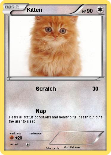 Pokemon Kitten