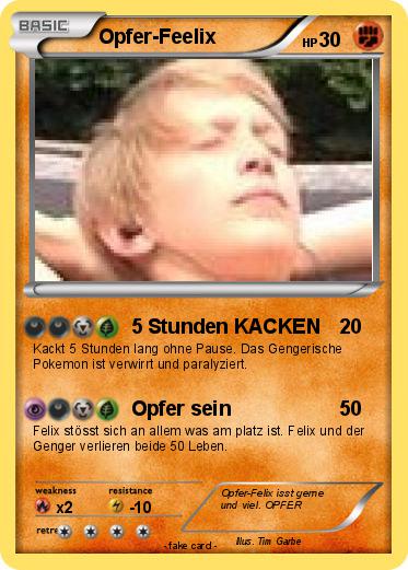 Pokemon Opfer-Feelix