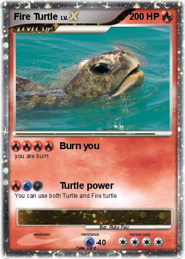 Pokemon Fire Turtle