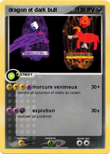 Pokemon dragon et dark bull