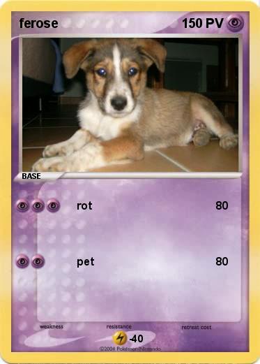 Pokemon ferose