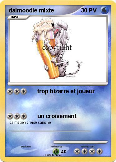 Pokemon dalmoodle mixte