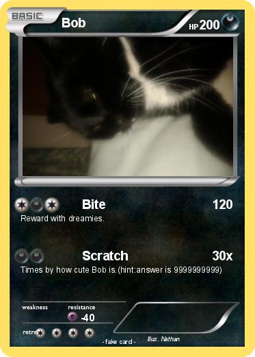 Pokemon Bob