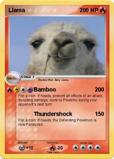 Pokemon Llama