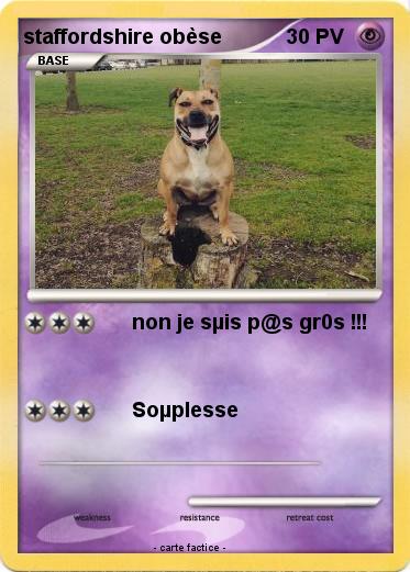Pokemon staffordshire obèse