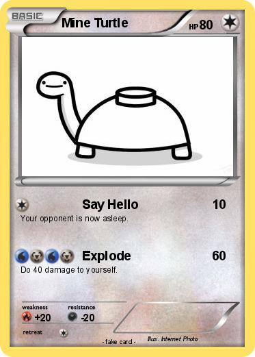 Pokemon Mine Turtle