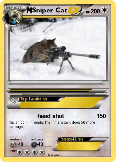 Pokemon Sniper Cat