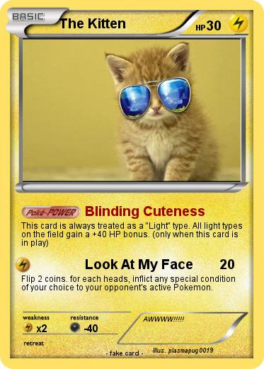 Pokemon The Kitten