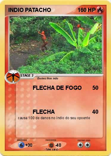 Pokemon INDIO PATACHO