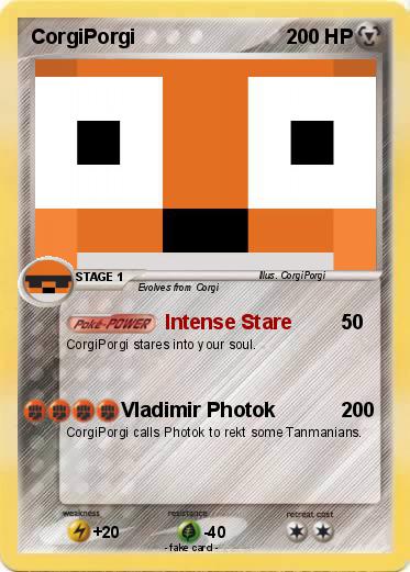 Pokemon CorgiPorgi