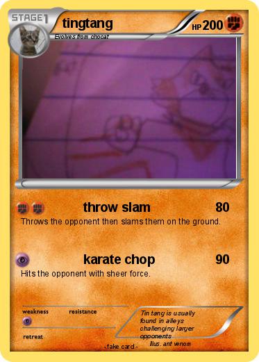 Pokemon tingtang