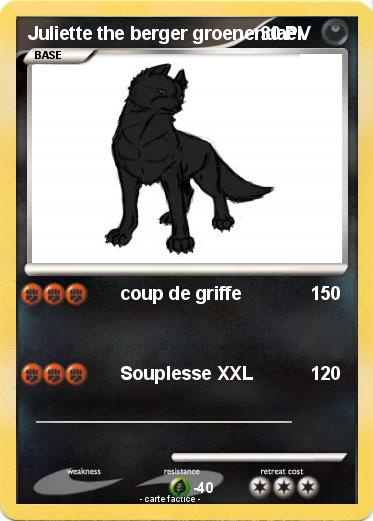Pokemon Juliette the berger groenendael