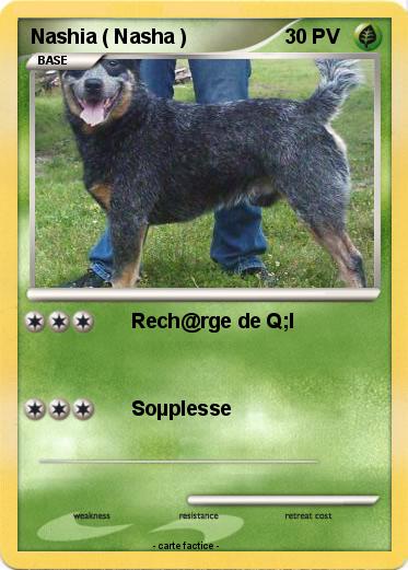 Pokemon Nashia ( Nasha )