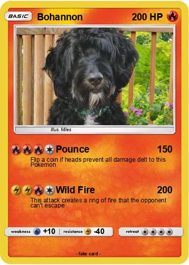 Pokemon Bohannon