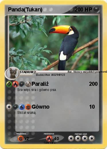 Pokemon Panda(Tukan)