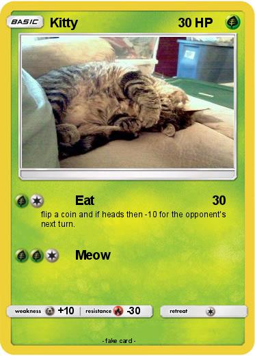Pokemon Kitty