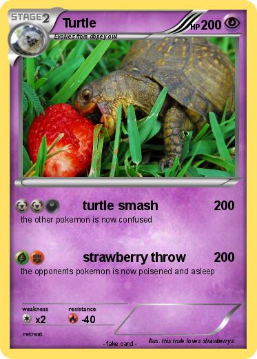 Pokemon Turtle