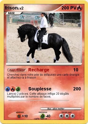 Pokemon frison
