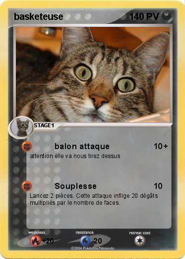 Pokemon basketeuse