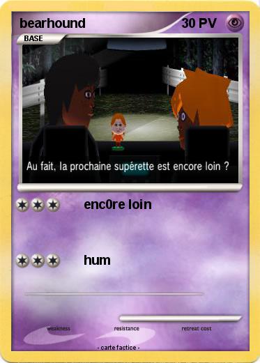 Pokemon bearhound