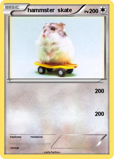 Pokemon hammster  skate