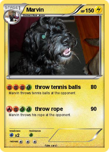 Pokemon Marvin