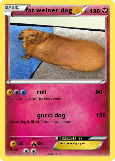 Pokemon fat weiner dog