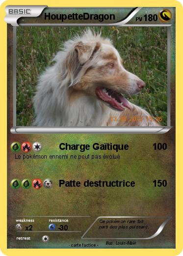 Pokemon HoupetteDragon