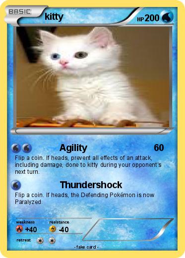 Pokemon kitty