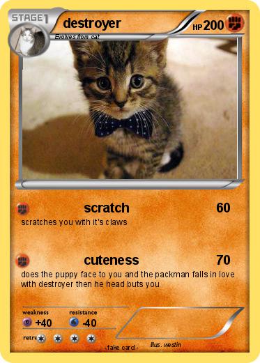 Pokemon destroyer